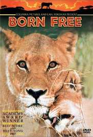 Born Free 1966 Hd 720p Hindi Eng Hdmovie